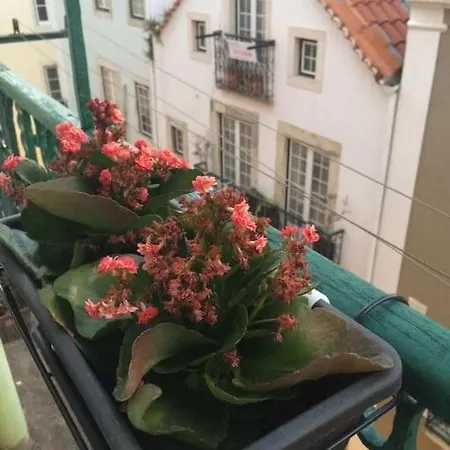 Charming Flat - Historical Center Apartment Lisbon